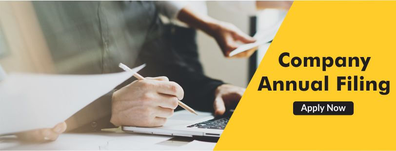 Company-Annual-Filing