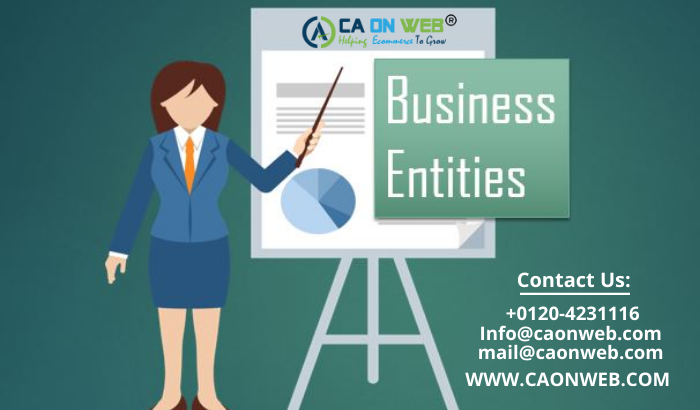 Business Entities in India