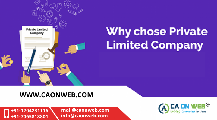 Private limited company