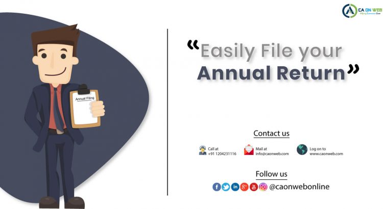 Annual Return Filing