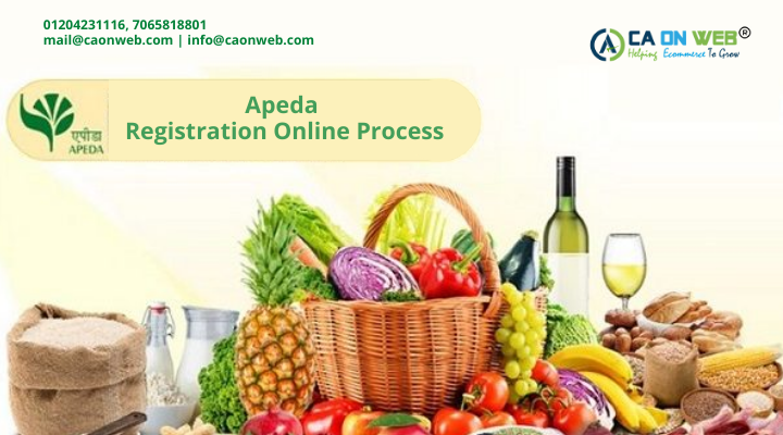 Apeda Registration